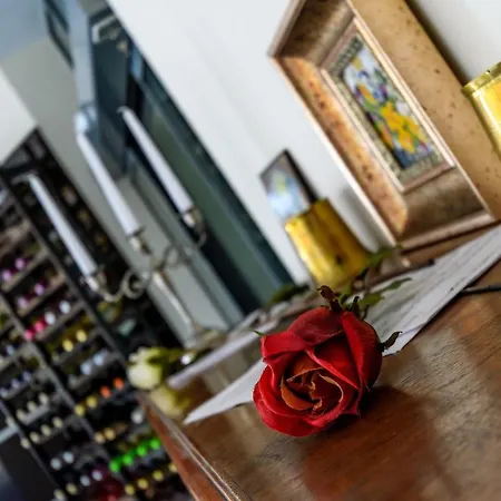 酒店 Sveti Dimitar