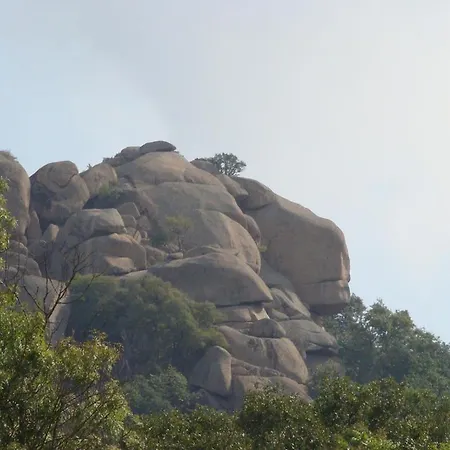 свети димитър Приморско